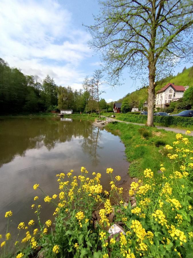 Ferienwohnung Sauerland Burgfenster Леннештадт Экстерьер фото